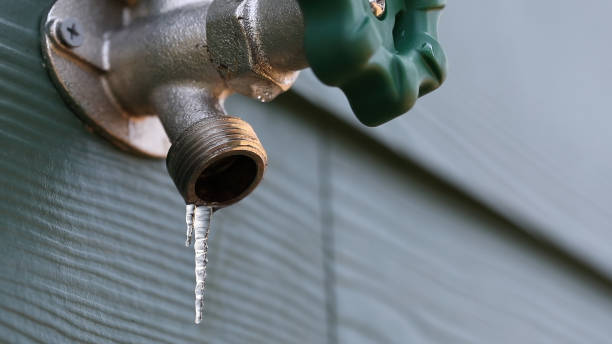 Best Faucet and Fixture Replacement  in Boulevard Park, WA